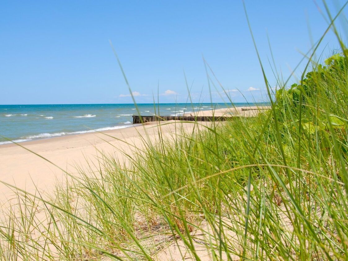 Picture of Warren Dunes State Park