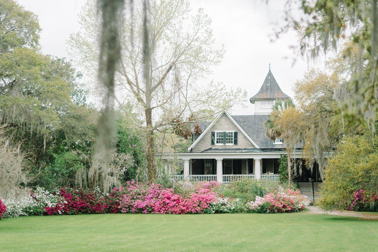Picture of Magnolia Plantation and Gardens