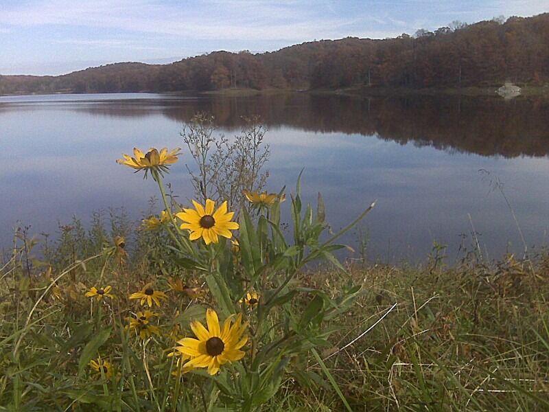 Picture of Hiking in Yellowwood State Forest