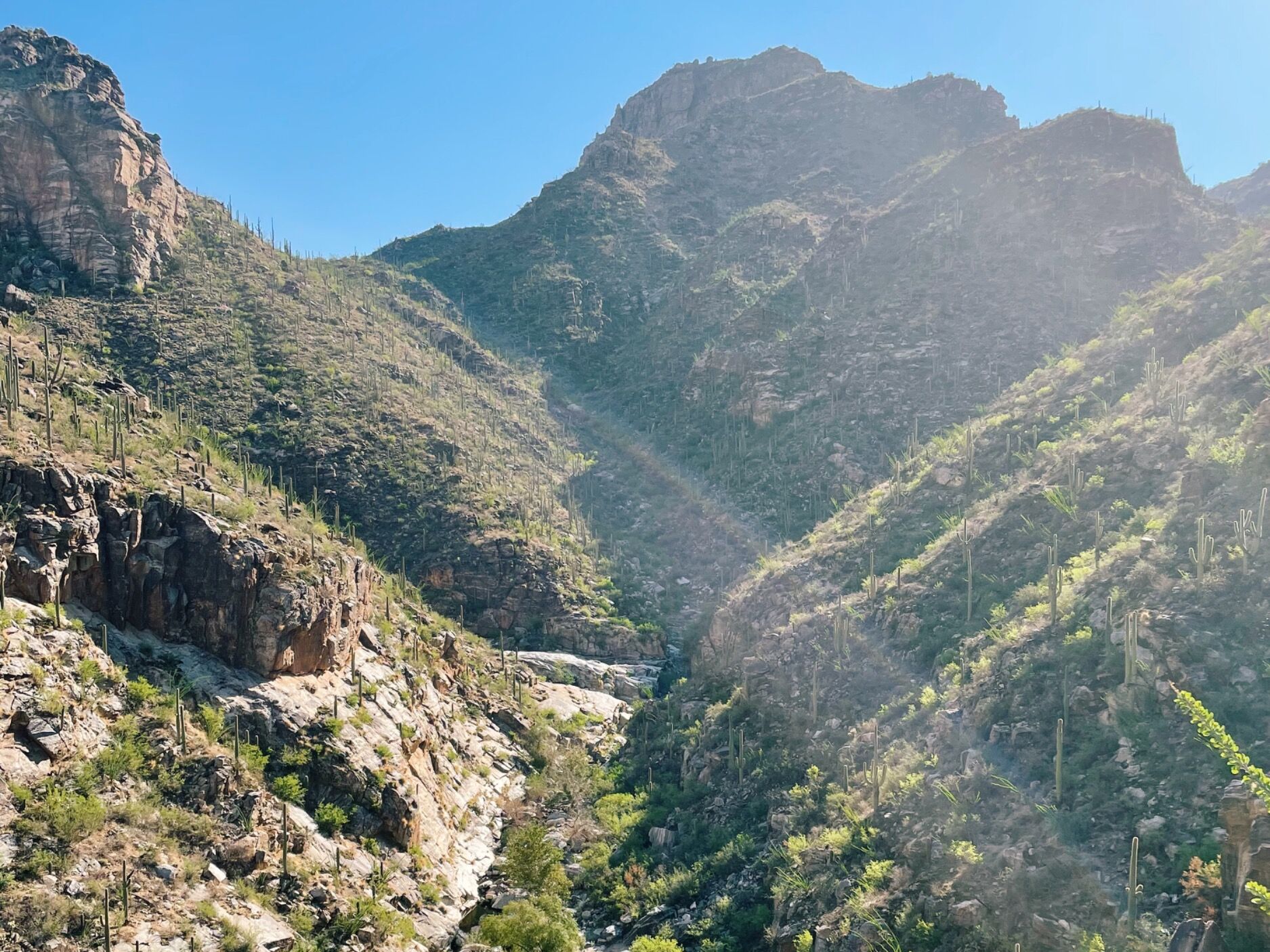 Picture of Sabino Canyon Recreation Area