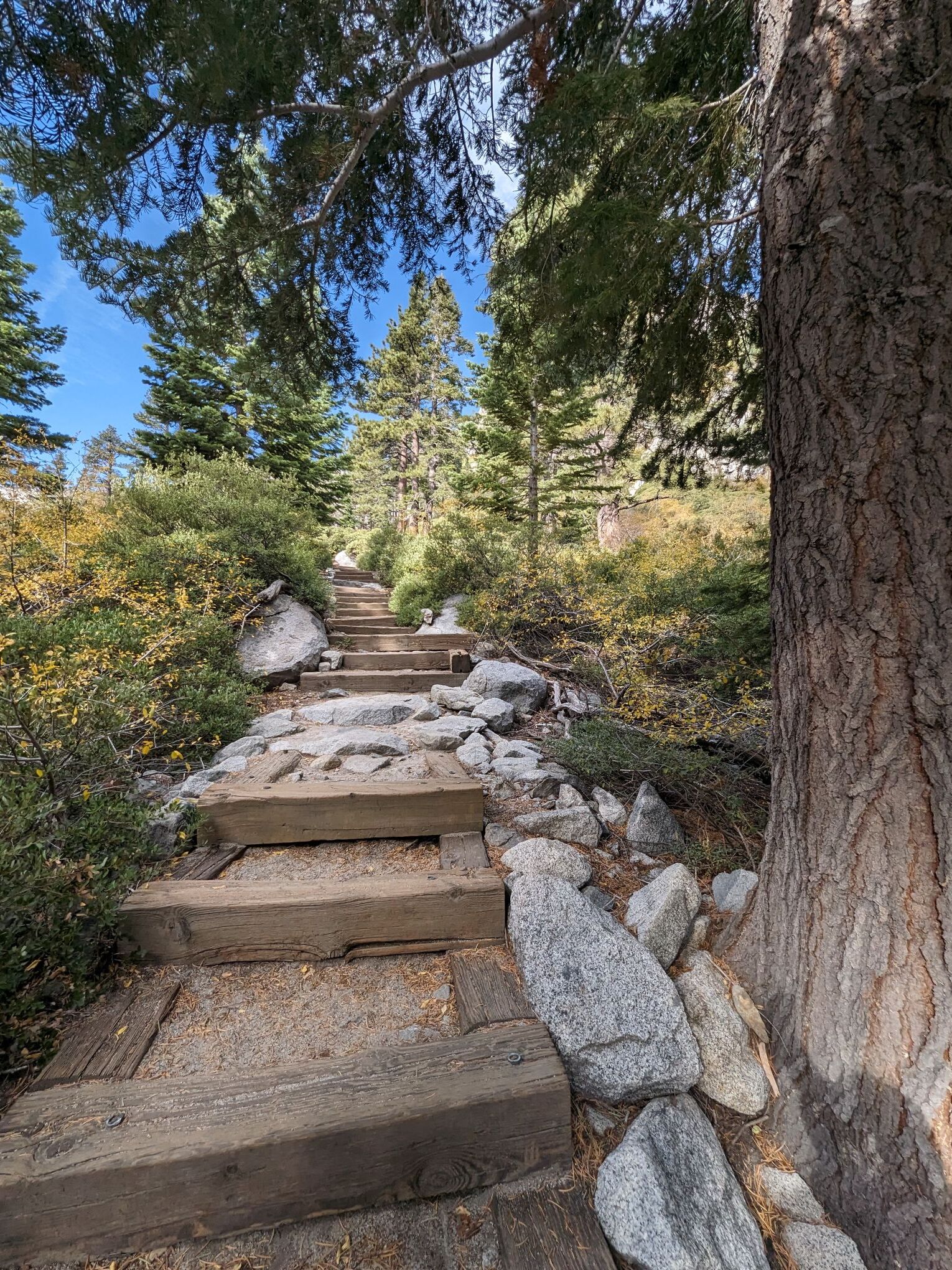 Picture of Eagle Falls Trailhead 
