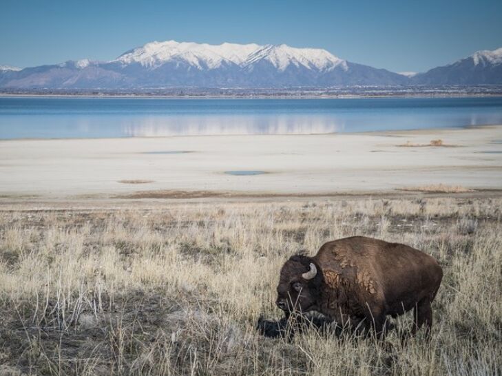 Picture of Antelope Island State Park
