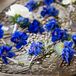 The groomsmen wore blue delphinium boutonnieres with greenery accents to match the bold color palette and the bridesmaid dresses.