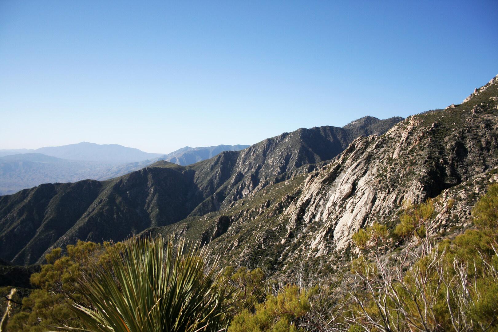 Picture of Cactus to Clouds Trail