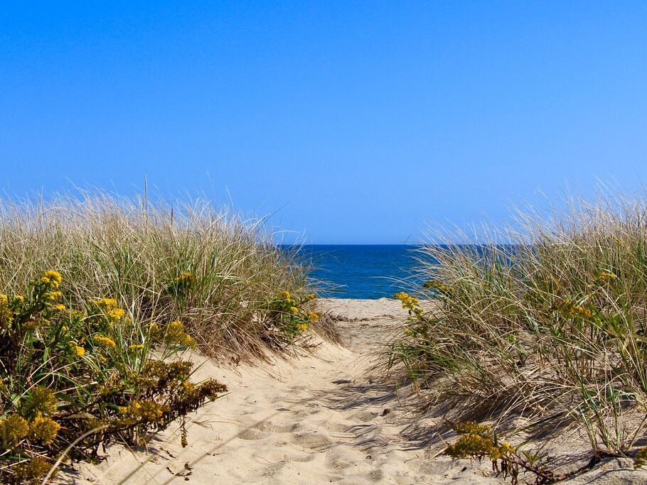 Picture of 'Sconset Beach