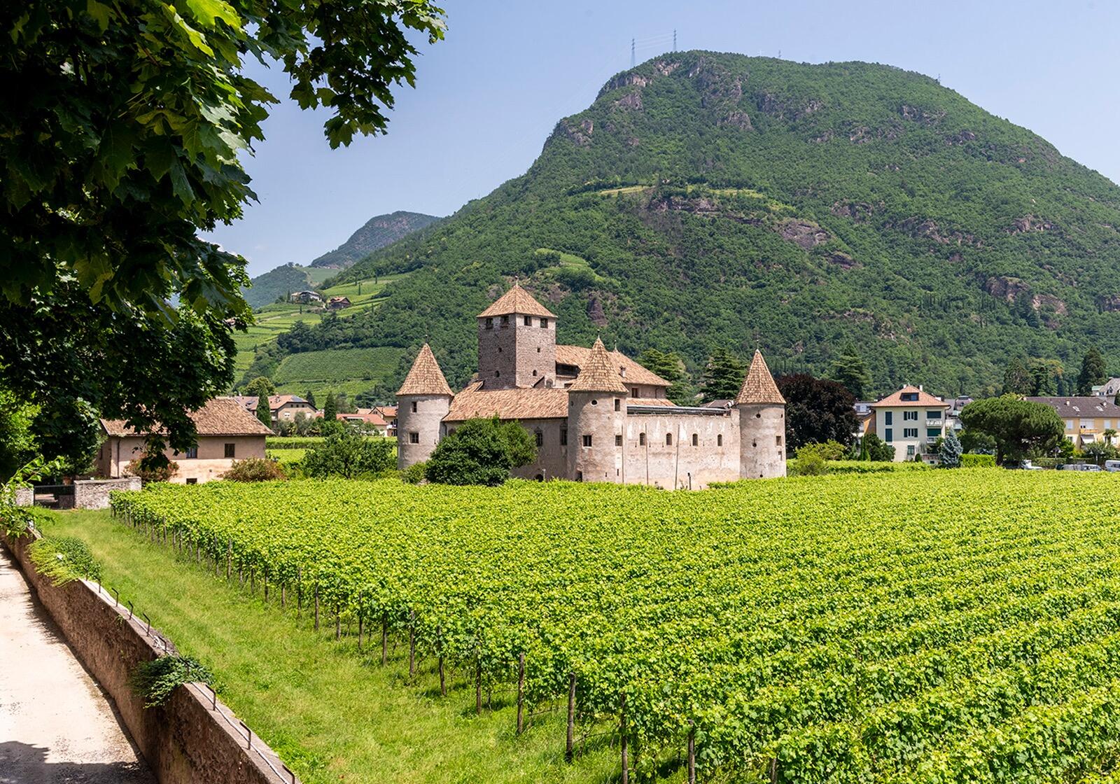 Picture of Maretsch Castle