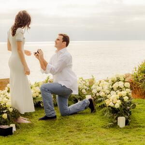 Gallery Photo 9