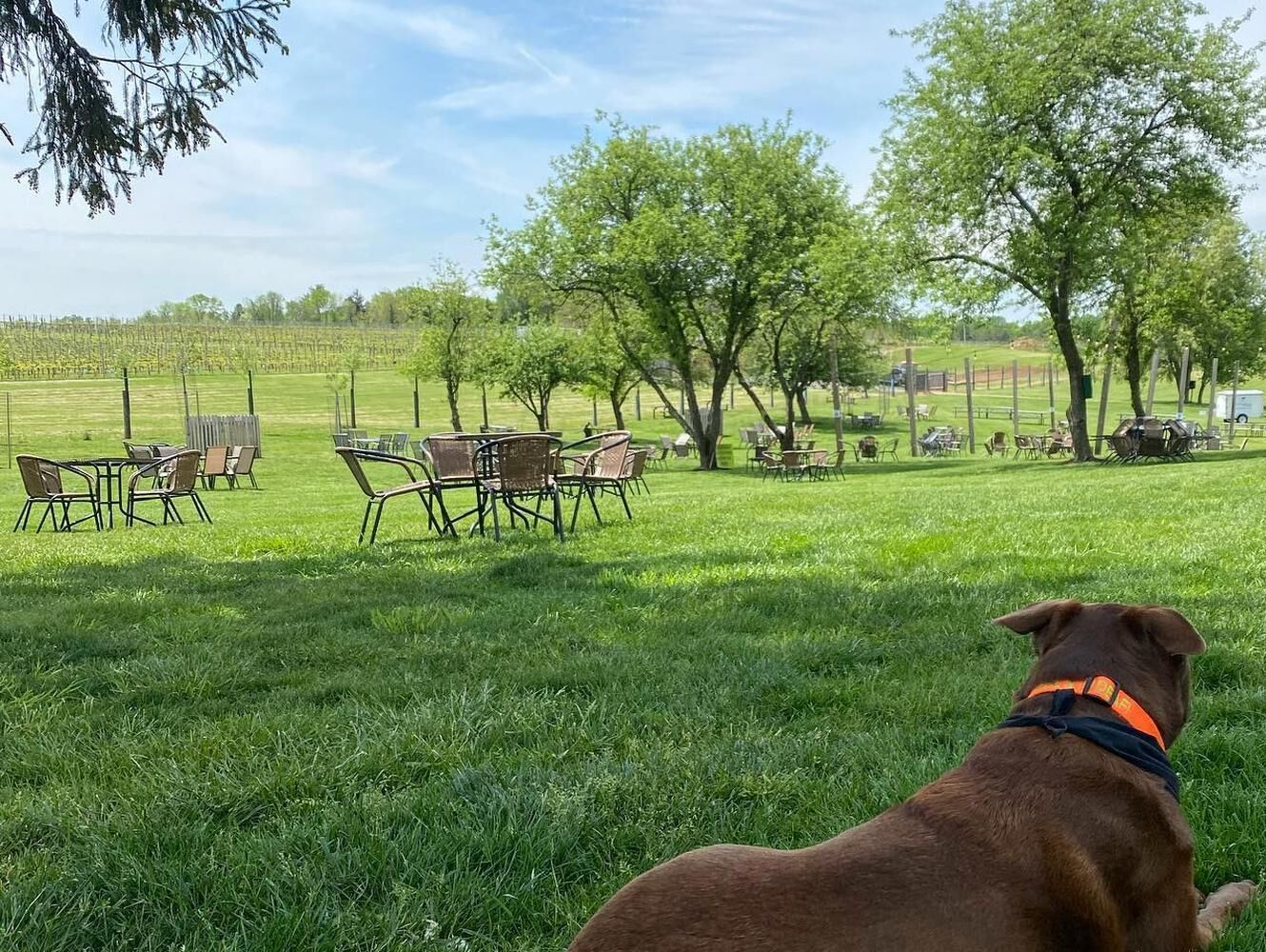 Picture of Penns Woods Winery 