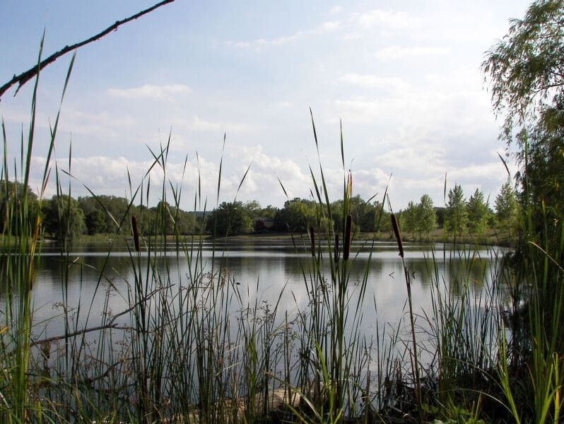 Picture of Conservation Area & Nature Trails