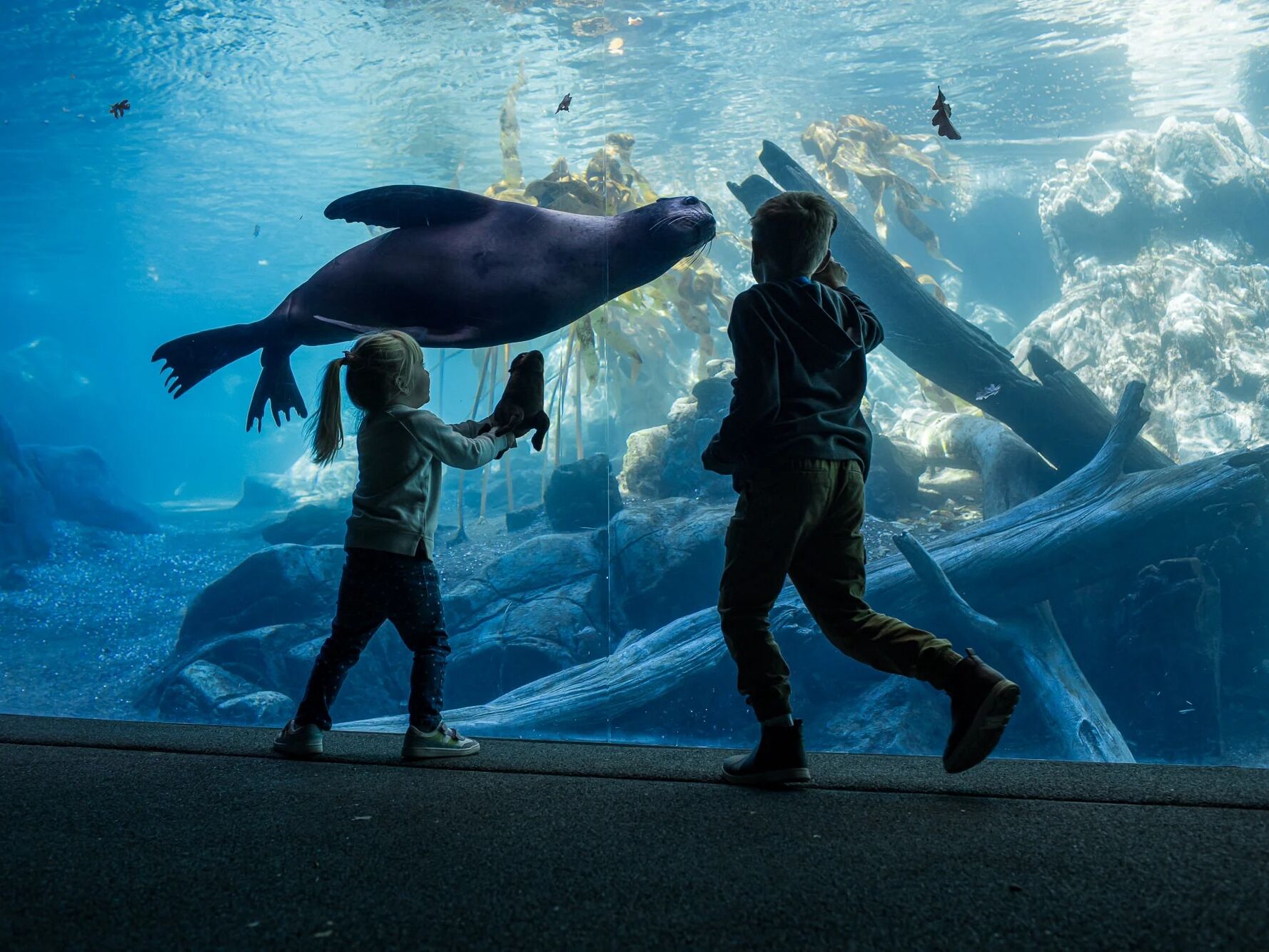 Picture of Omaha's Henry Doorly Zoo and Aquarium