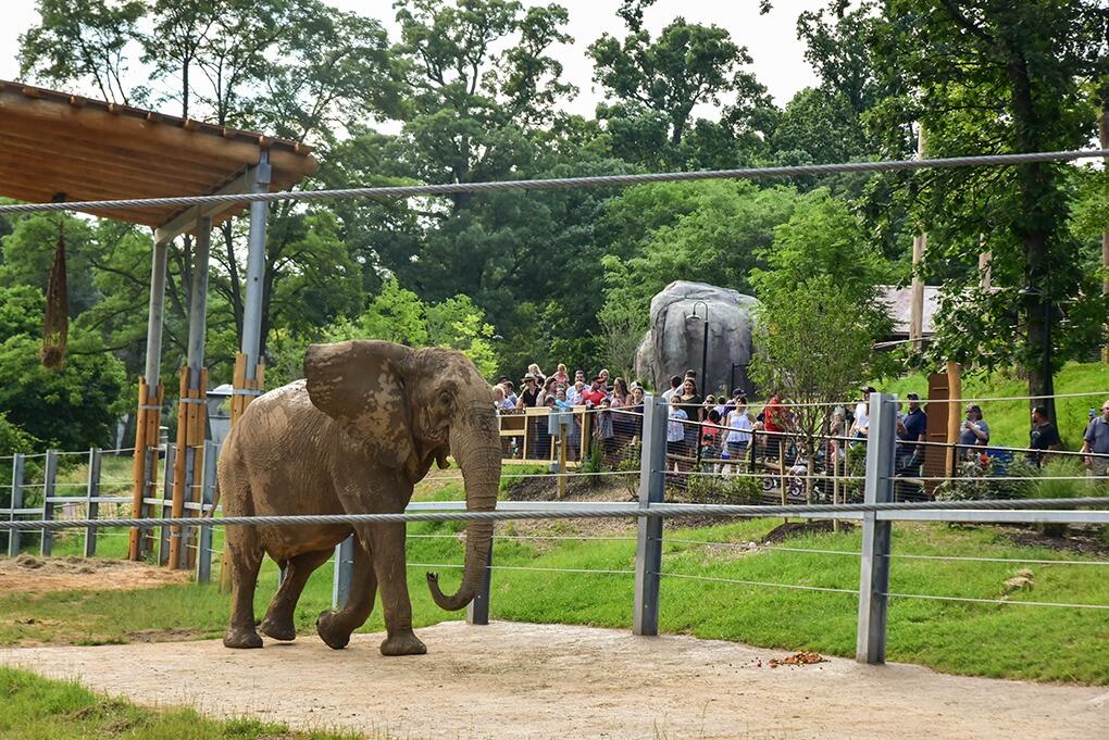 Picture of The Maryland Zoo in Baltimore
