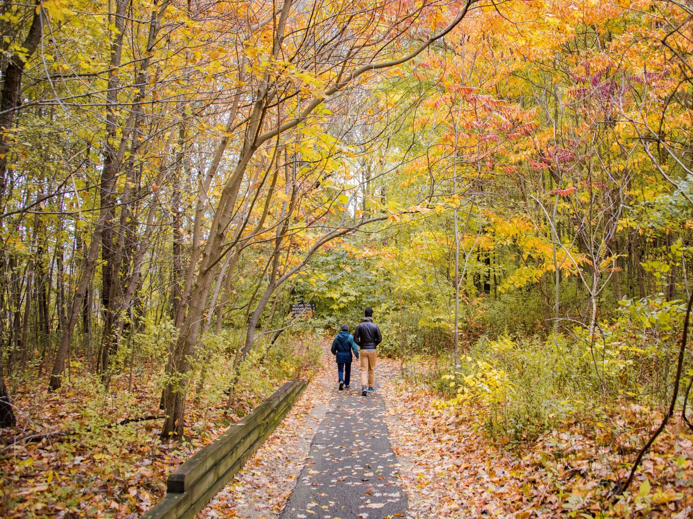 Picture of Spicer Lake Nature Preserve