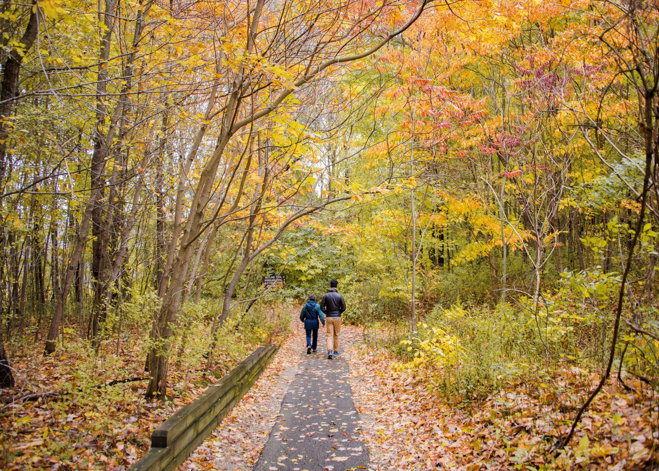 Picture of Spicer Lake Nature Preserve