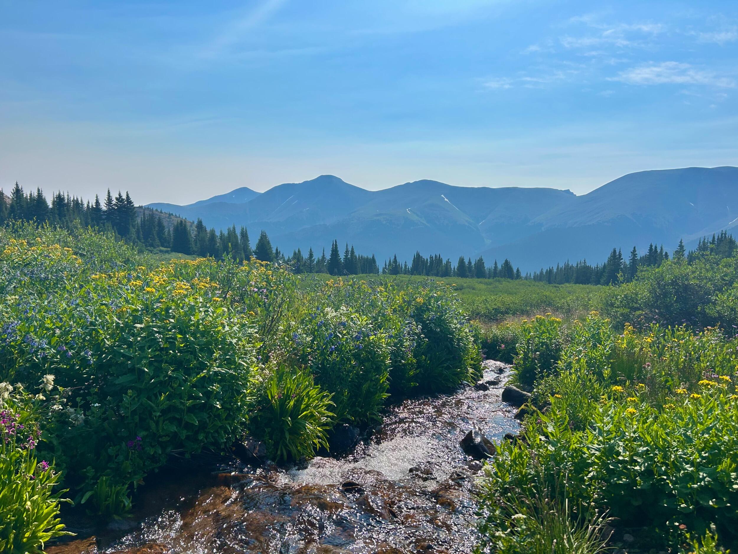 Picture of Second Creek to Broome Hut Trail 