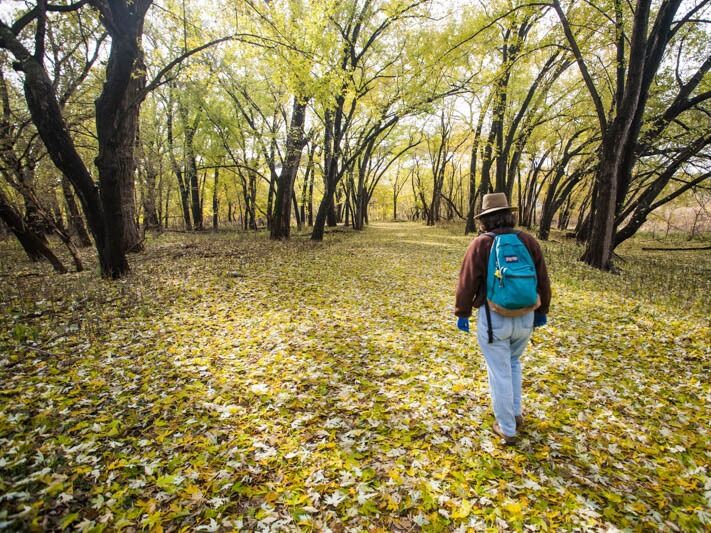 Picture of Mississippi Walking Trail