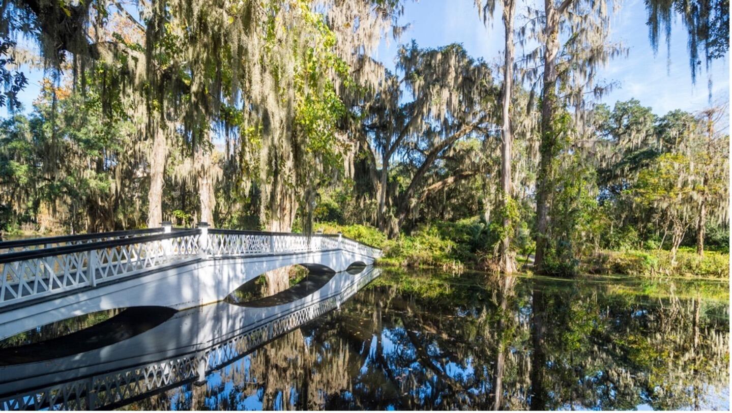 Picture of Magnolia Plantation