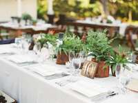 simple inexpensive wedding centerpieces with potted plants