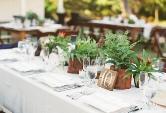 simple inexpensive wedding centerpieces with potted plants