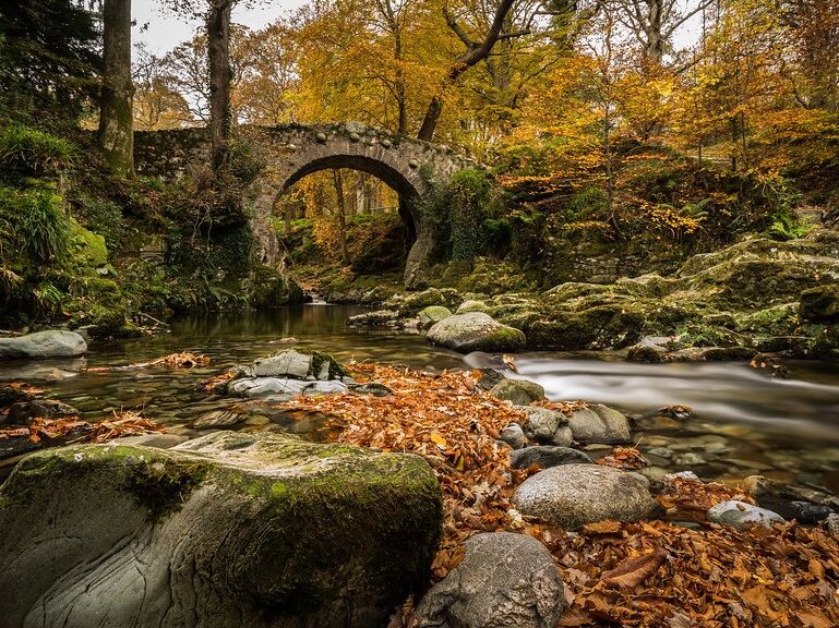 Picture of Tollymore Forest Park