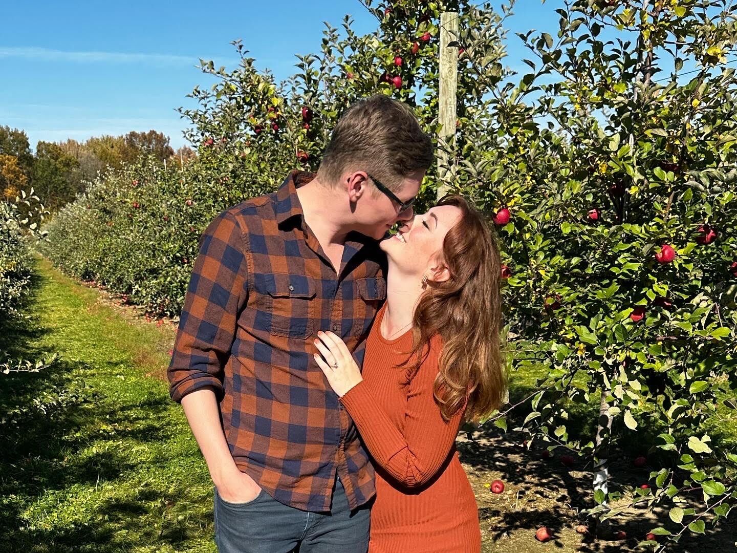 Picture of The Proposal