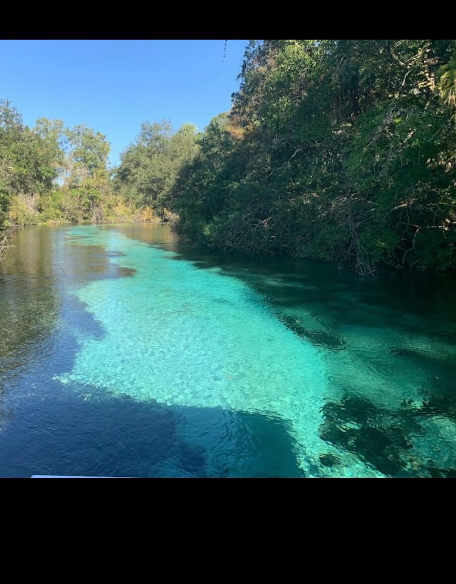 Picture of Weeki Wachee Springs State Park
