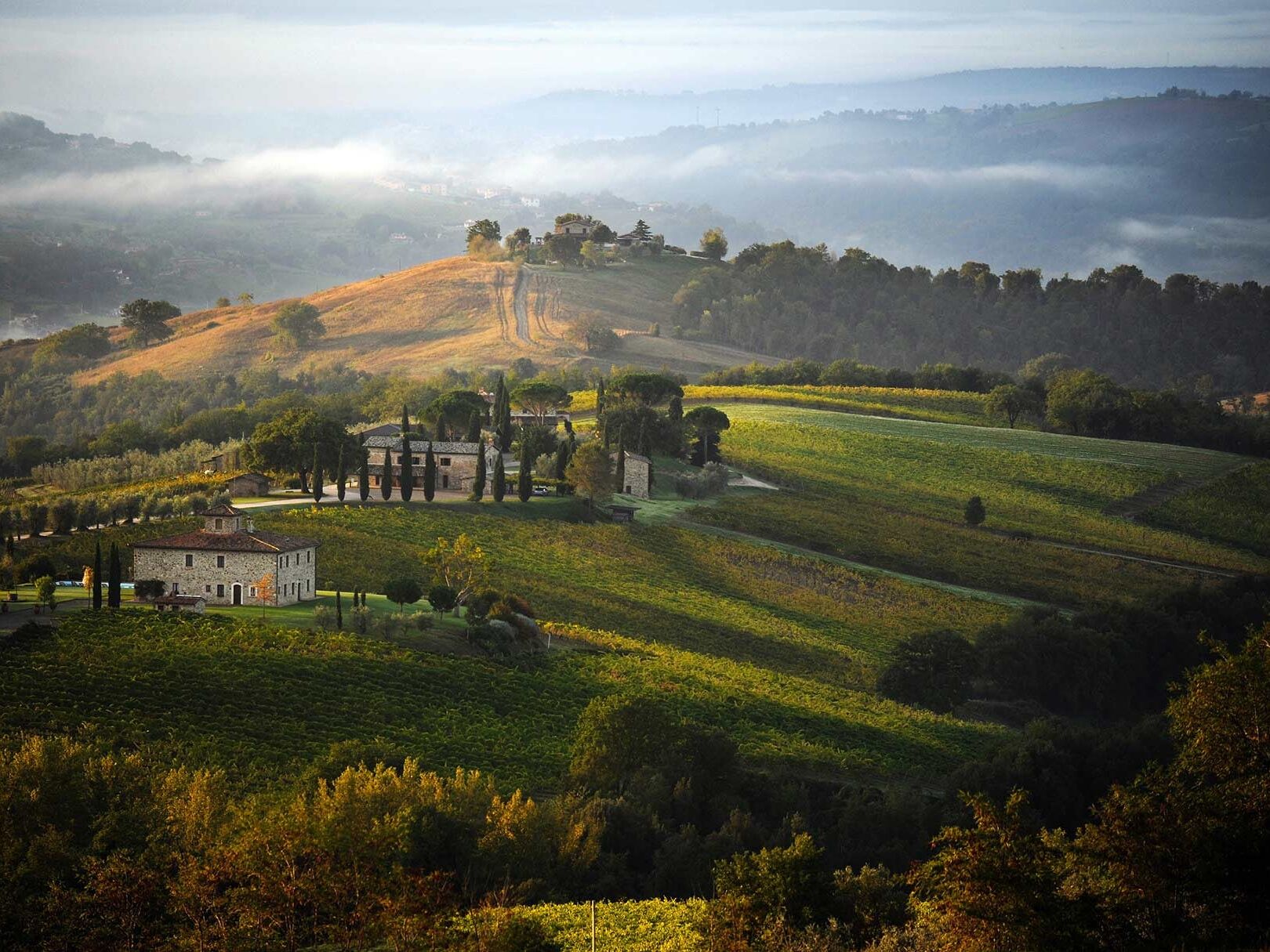 Picture of Decugnano dei Barbi