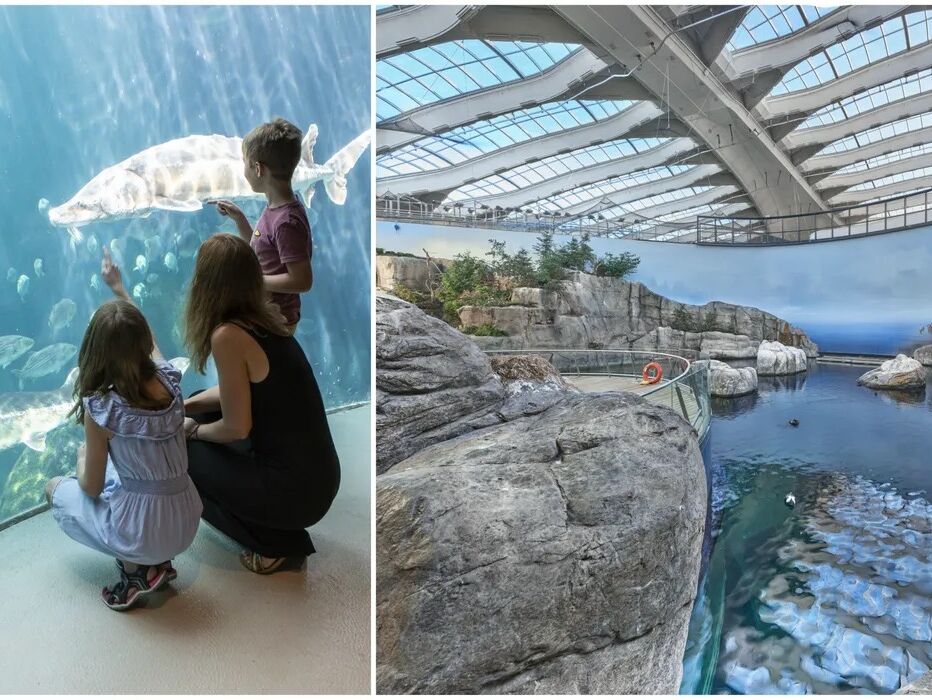 Picture of Montreal Biodome