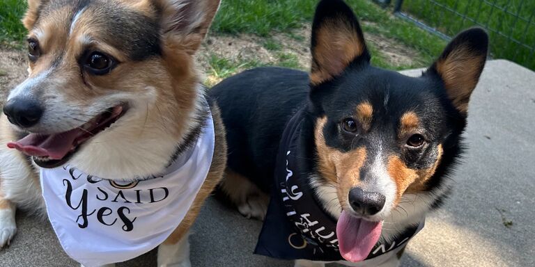 Sophia & Collin Home Page Banner