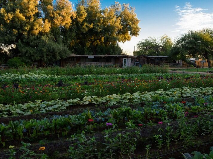 Picture of The Farm at South Mountain