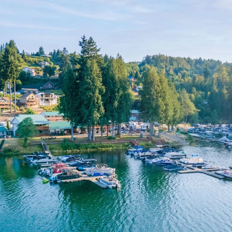 Picture of Mayfield Lake Resort and Marina