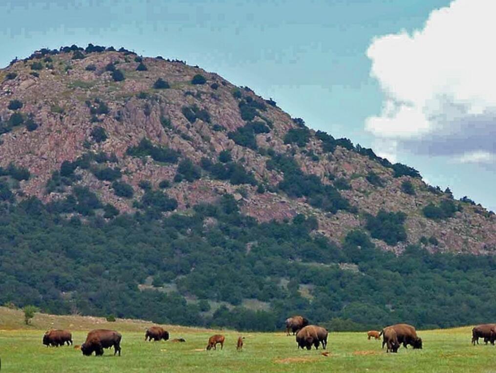 Picture of Wichita Mountains National Wildlife Refue