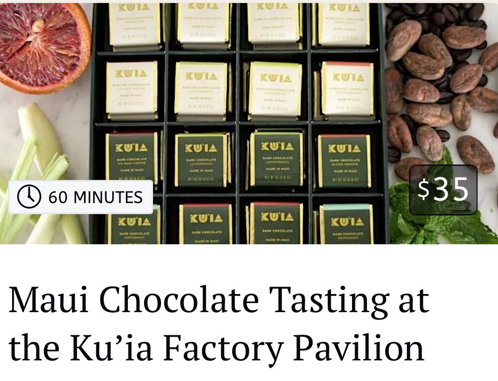 Picture of Cacao Farm Tour & Chocolate Tasting