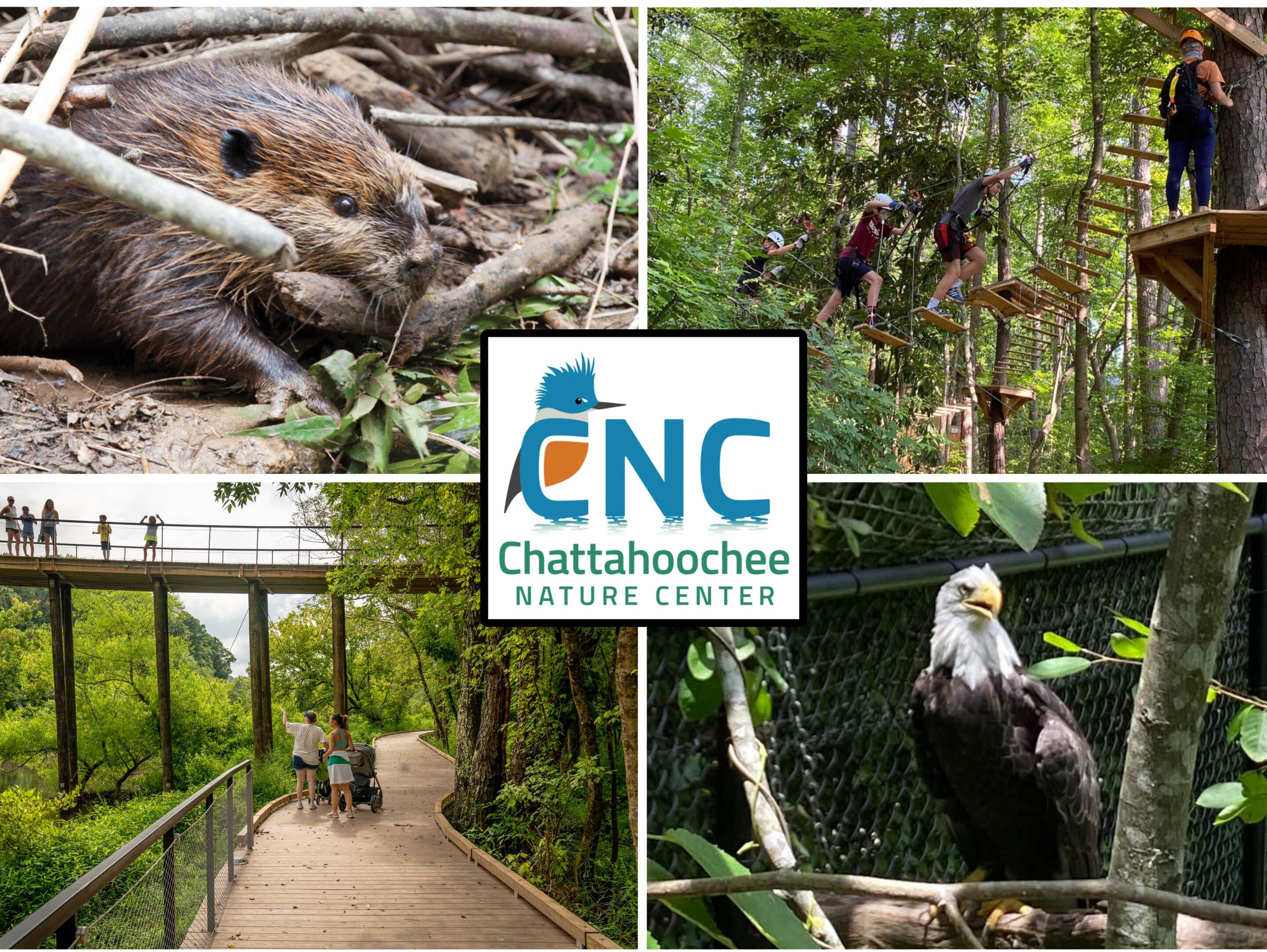 Picture of Chattahoochee Nature Center