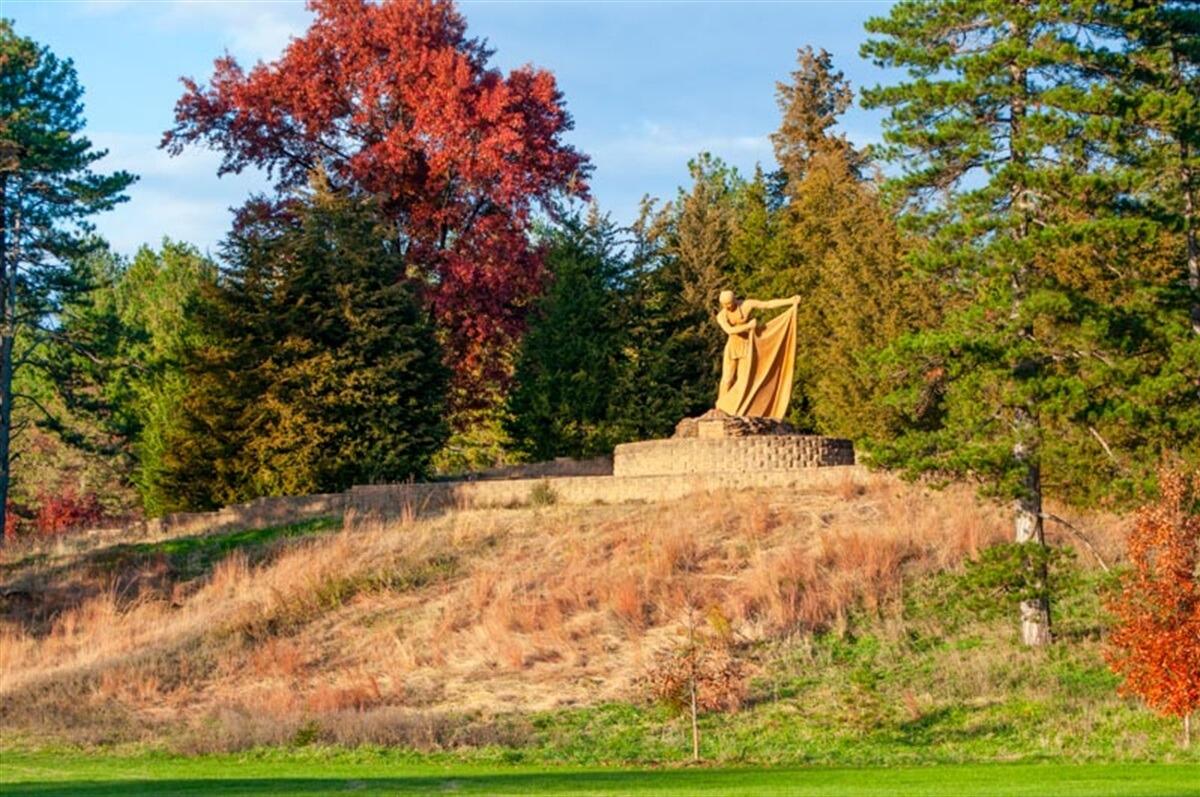 Picture of Pioneers Park