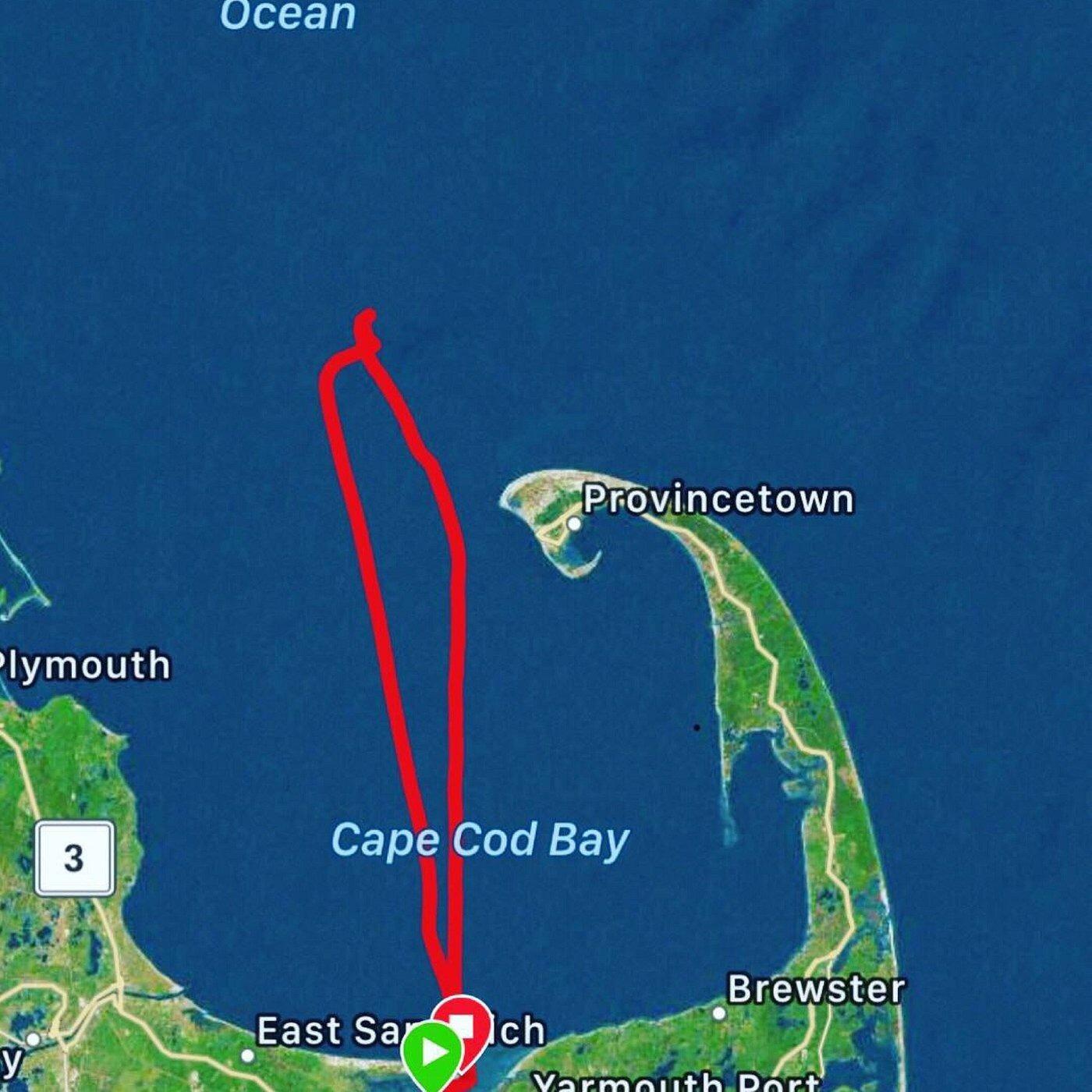 Picture of Hyannis Whale Watcher Cruises