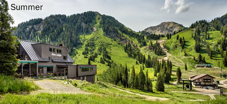 Picture of Alta Lodge
