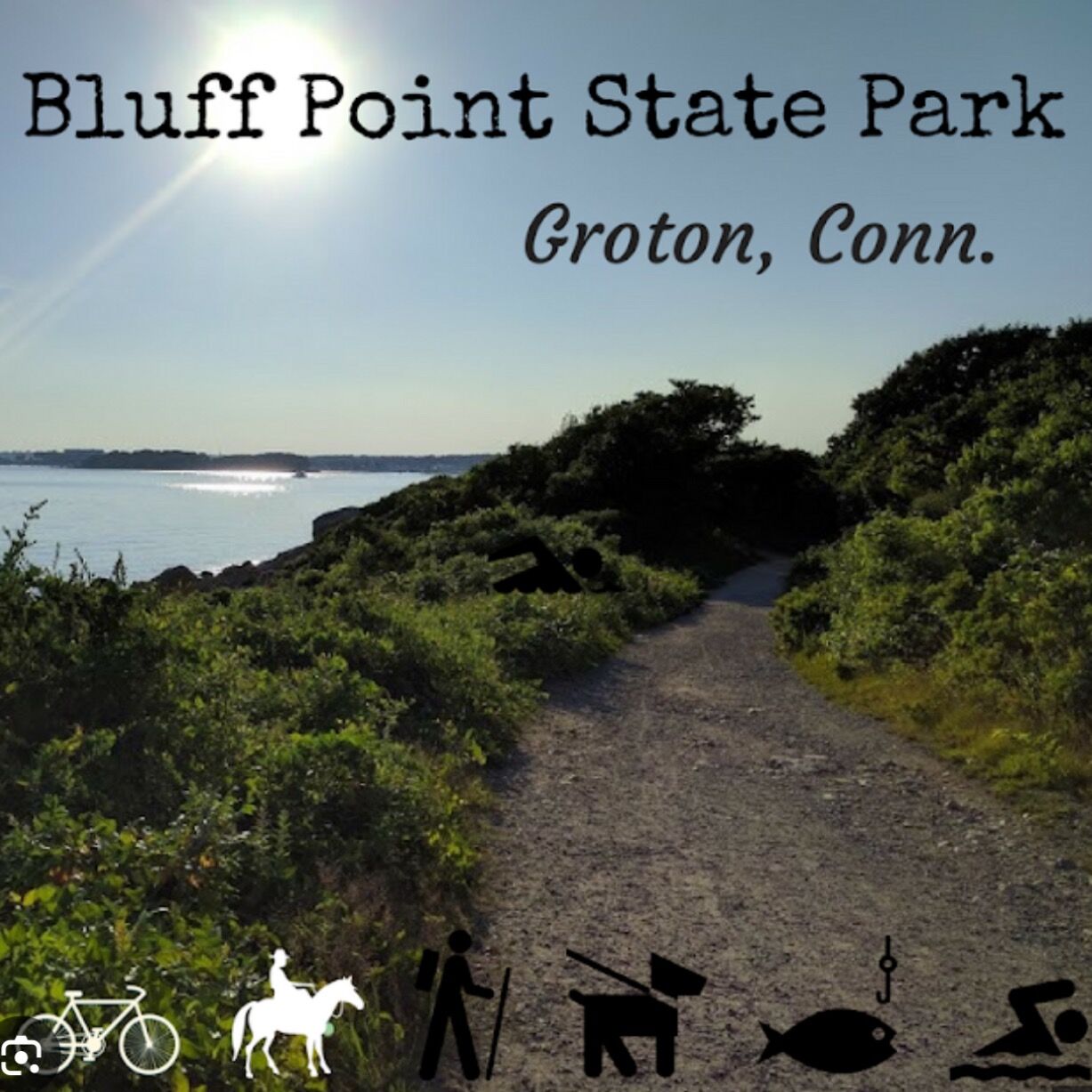 Picture of Bluff Point State Park