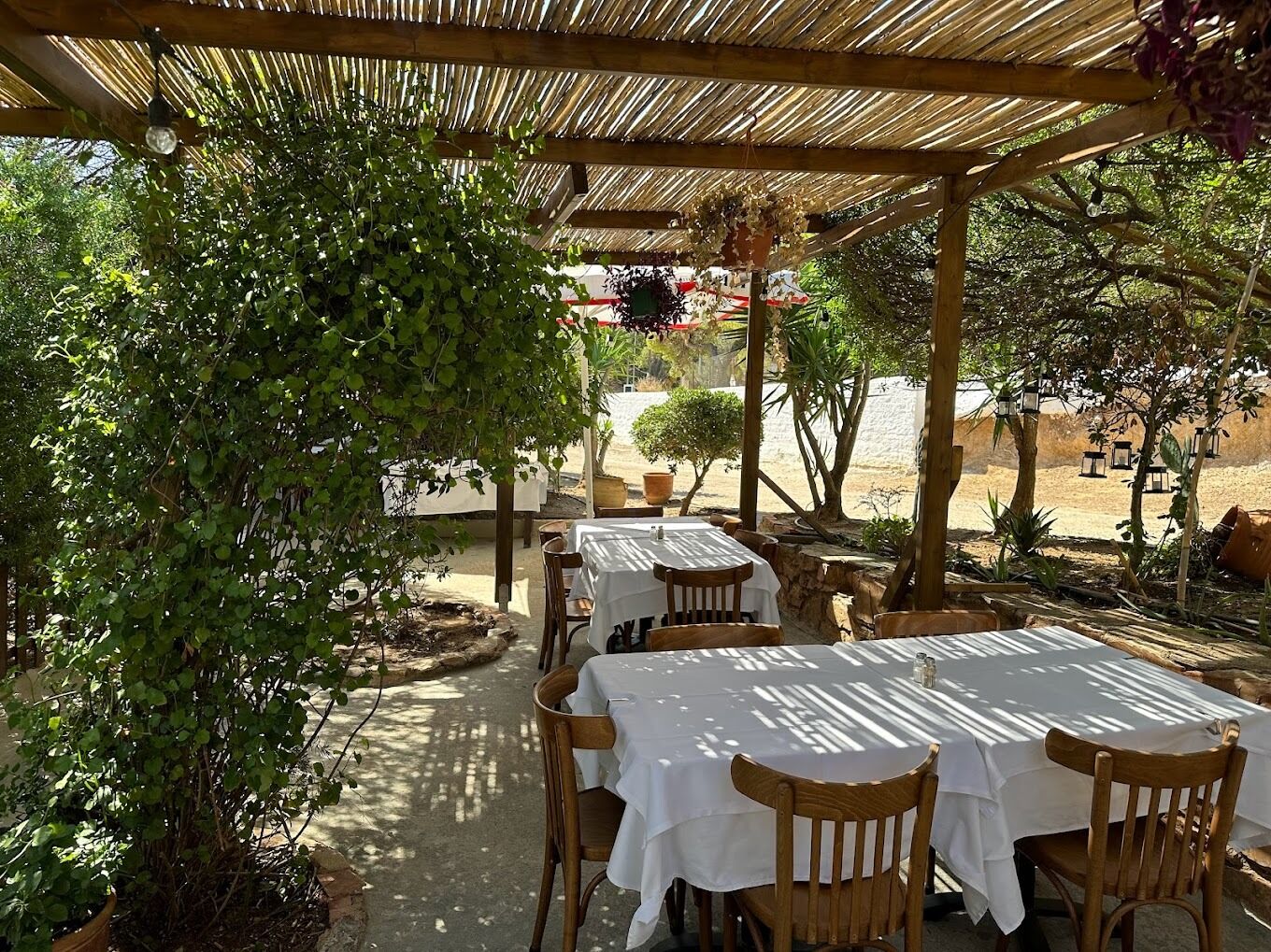 Picture of Taverna Syrtaki