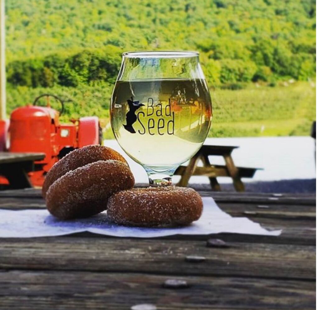 Picture of Bad Seed Cider Taproom