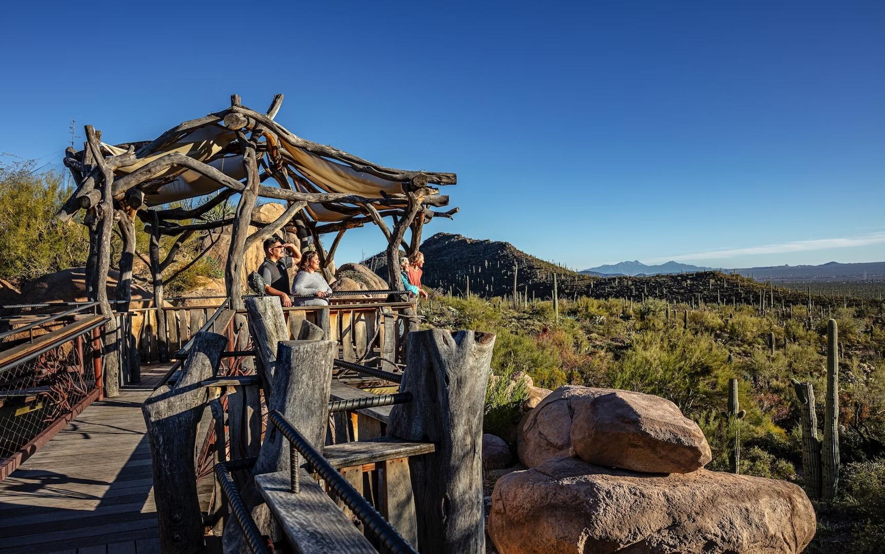 Picture of Arizona-Sonora Desert Museum