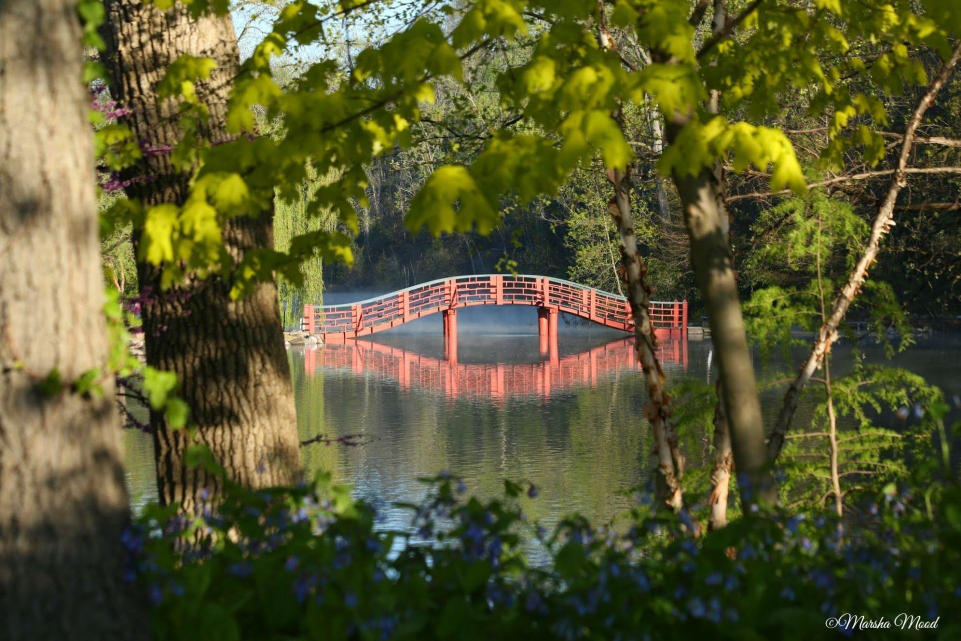 Picture of Rotary Botanical Gardens