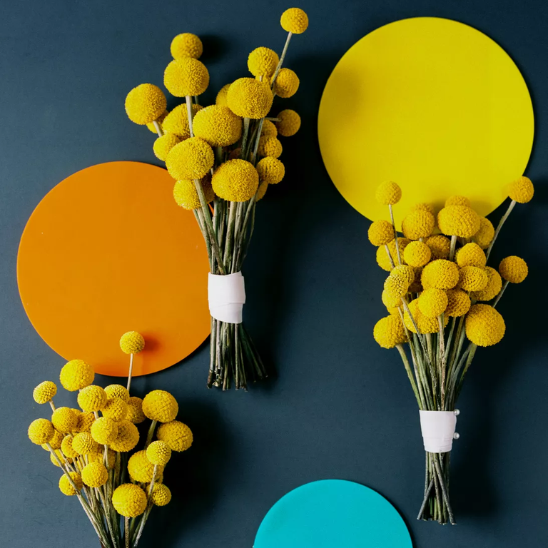 Craspedia Flower Bouquet in bright sunny yellow