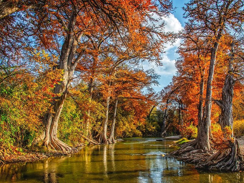 Picture of Comfort, TX