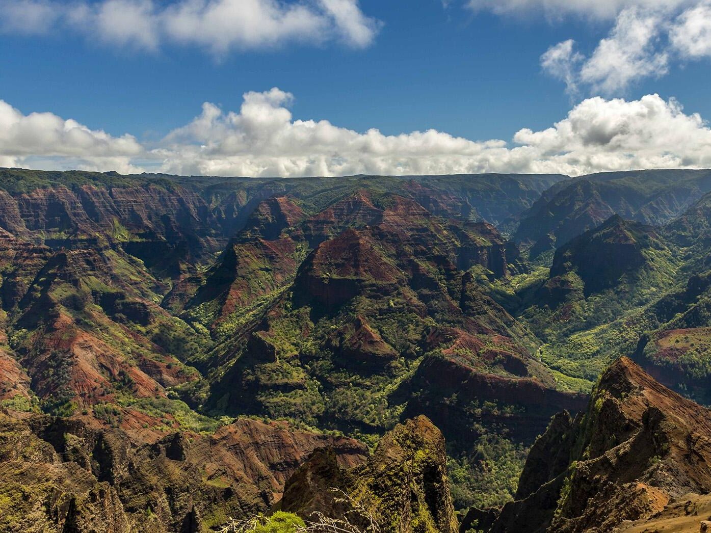 Picture of Waimea Canyon State Park