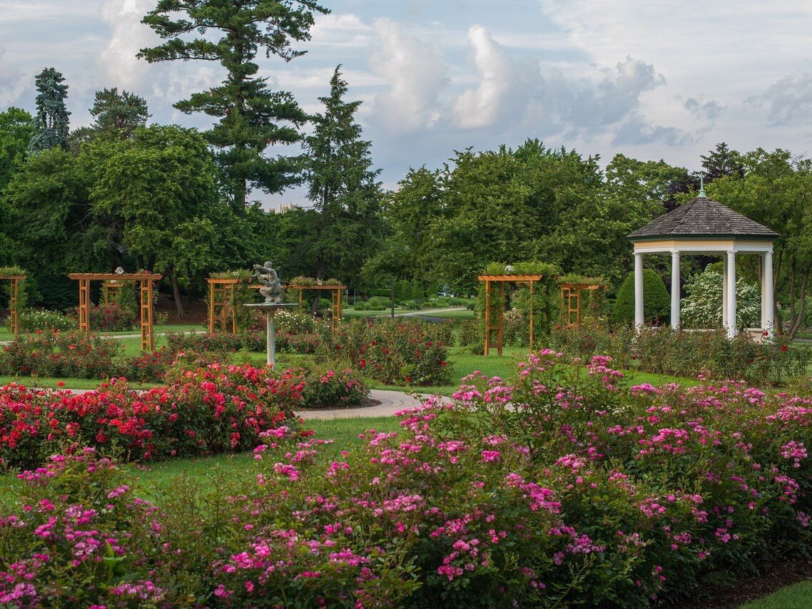 Picture of Allentown Rose Gardens