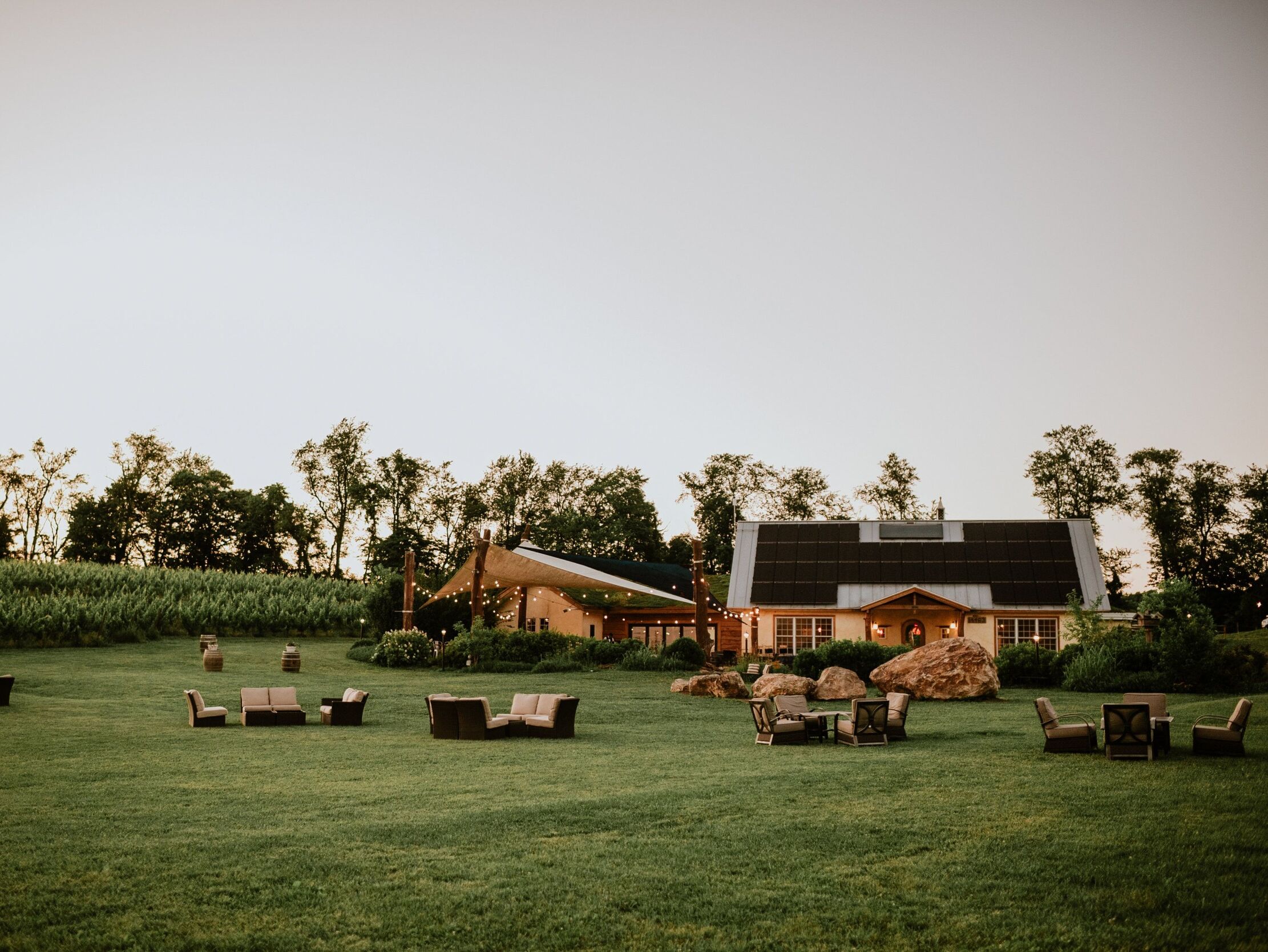 Picture of Black Ankle Vineyards