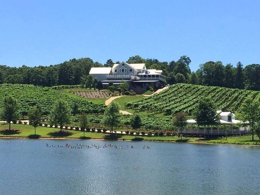 Picture of Frogtown Cellars