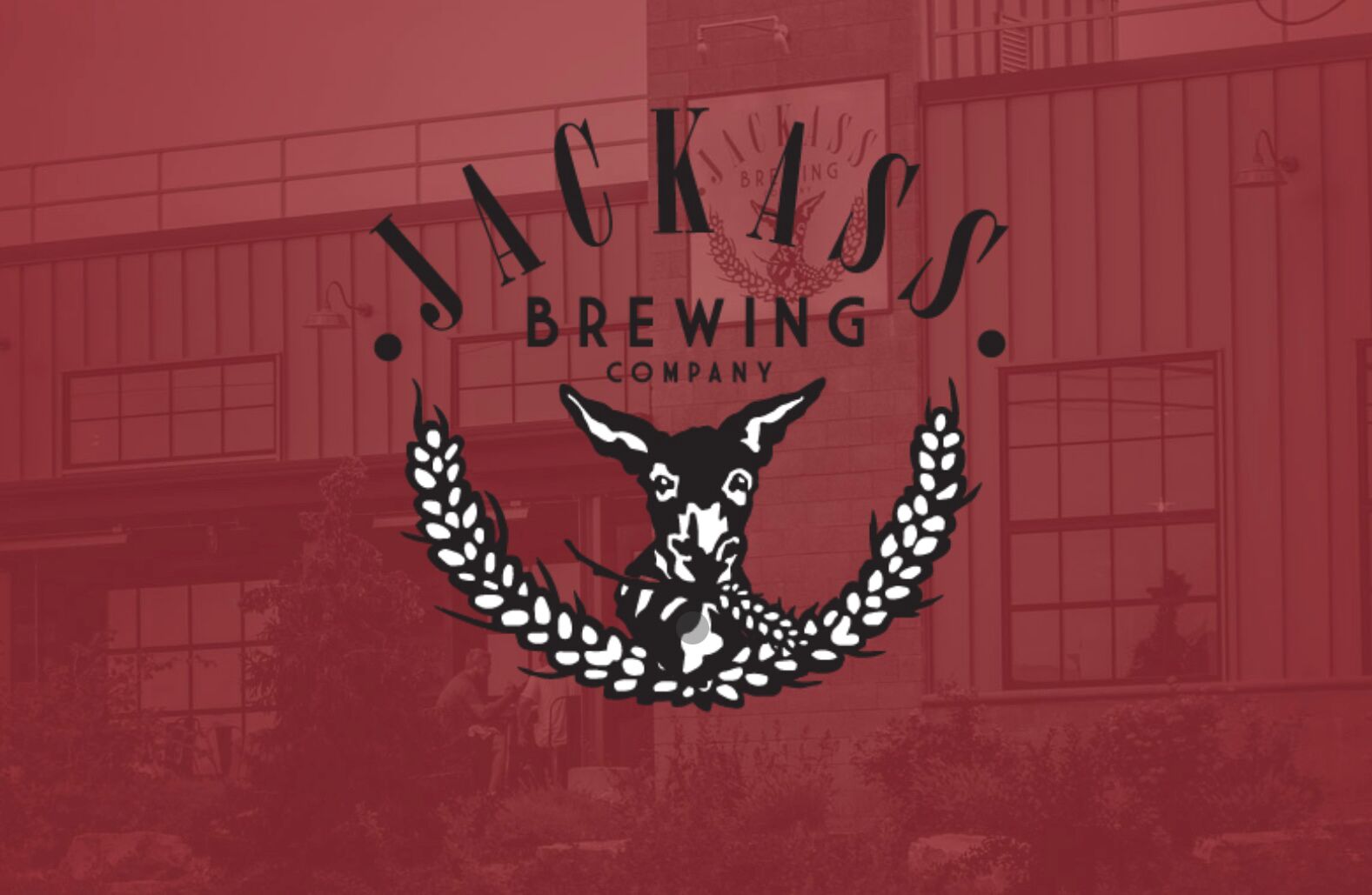 Picture of Jackass Brewing Company