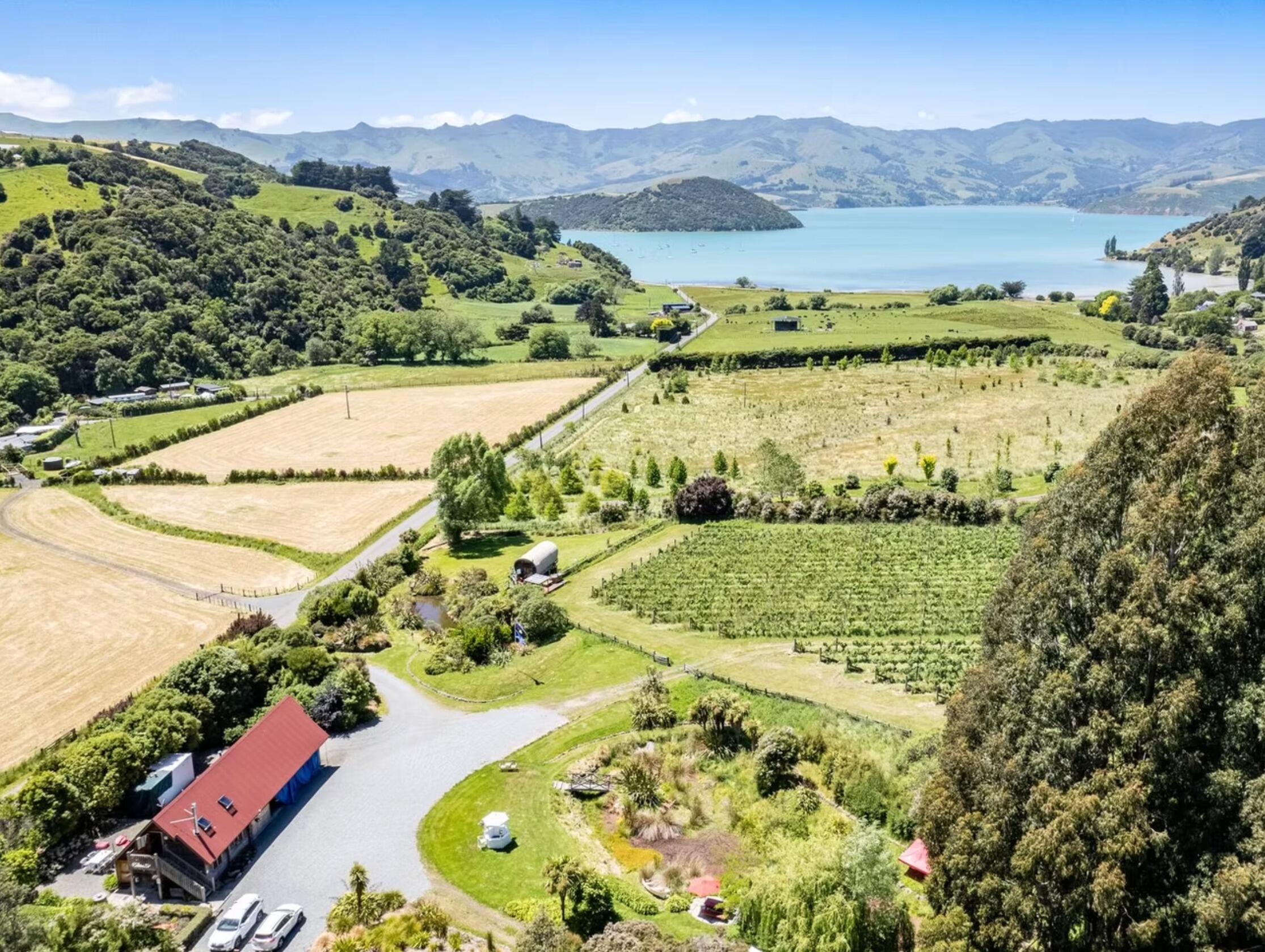 Picture of French Peak Vineyard and Accommodation