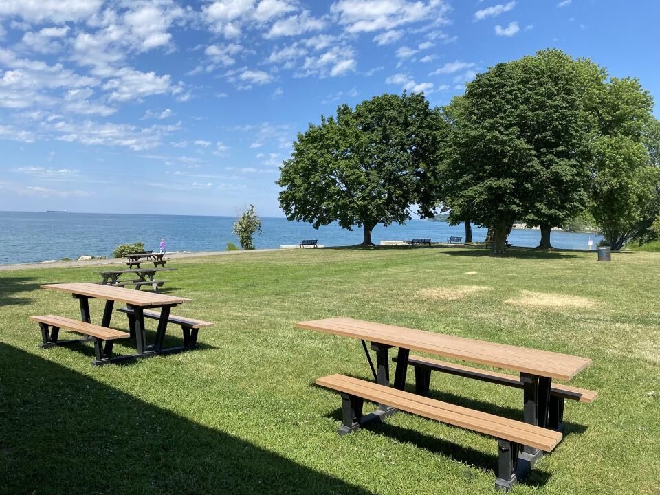 Picture of Charles Daley Park